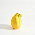 Lemon Ceramic Floral Decor Vase